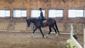 Mr Nobility, Lauren Millet-Simpson, Thoroughbred Makeover